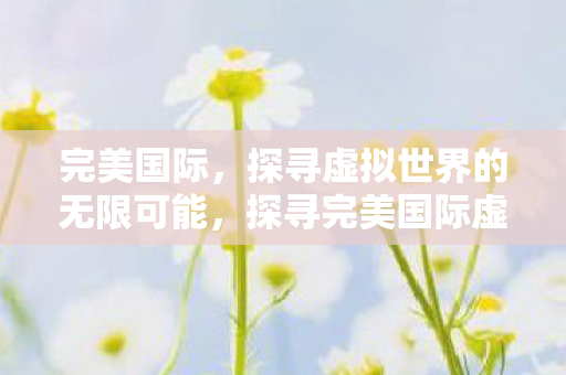 完美国际，探寻虚拟世界的无限可能，探寻完美国际虚拟世界的无限可能