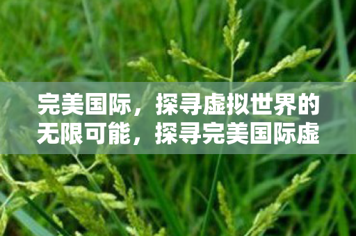 探寻完美国际虚拟世界的无限可能图片