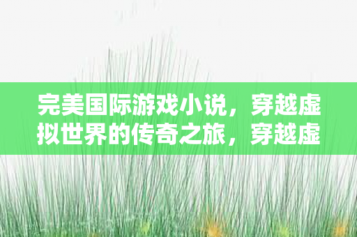 穿越虚拟世界的传奇之旅图片