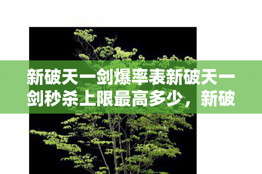 新破天一剑爆率表新破天一剑秒杀上限最高多少图片