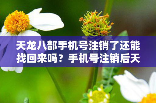 天龙八部手机号注销了还能找回来吗？手机号注销后天龙八部账号能否找回？
