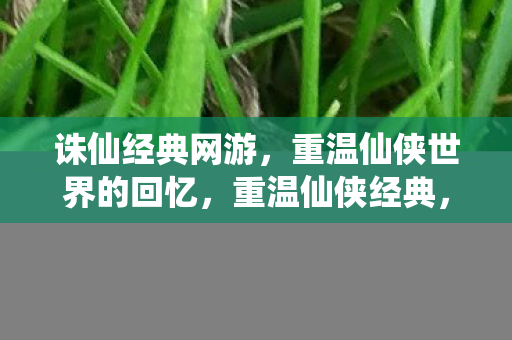 诛仙经典网游，重温仙侠世界的回忆，重温仙侠经典，诛仙网游带你重回梦幻世界