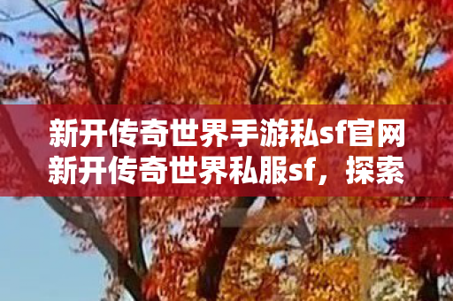 新开传奇世界手游私sf官网新开传奇世界私服sf图片