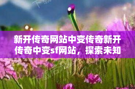 新开传奇网站中变传奇新开传奇中变sf网站图片