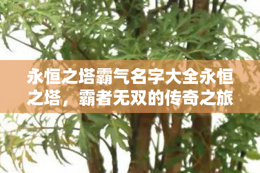 永恒之塔霸气名字大全永恒之塔,霸者无双的传奇之旅,永恒之塔,霸者无双的传奇之旅 永恒之塔霸气名字大全永恒之塔,霸者无双的传奇之旅,永恒之塔,霸者无双的传奇之旅
