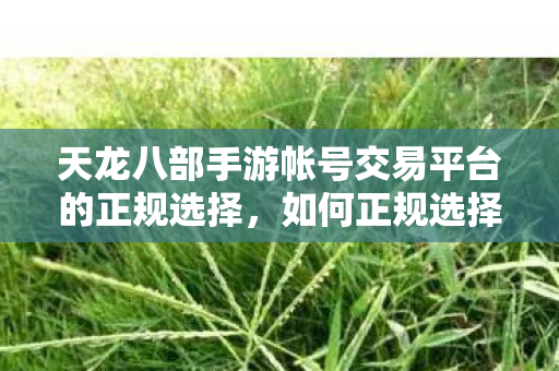 如何正规选择天龙八部手游帐号交易平台图片