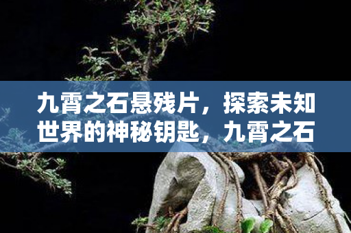 九霄之石悬残片,探索未知世界的神秘钥匙,九霄之石,探索未知世界的神秘钥匙 九霄之石悬残片,探索未知世界的神秘钥匙,九霄之石,探索未知世界的神秘钥匙
