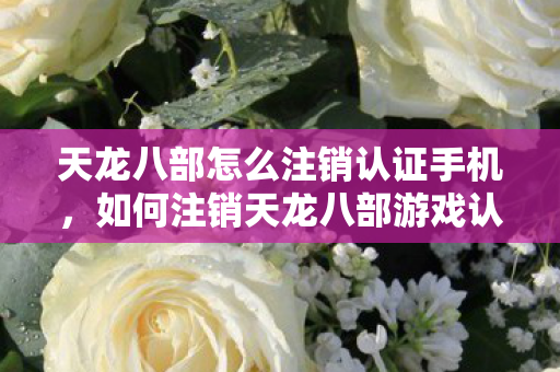 天龙八部怎么注销认证手机，如何注销天龙八部游戏认证手机？
