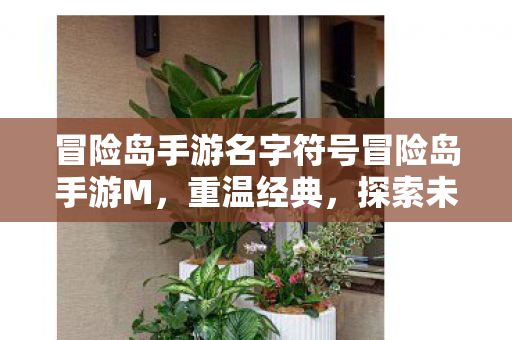 冒险岛手游名字符号冒险岛手游M，重温经典，探索未知，冒险岛手游M，重温经典，探索未知