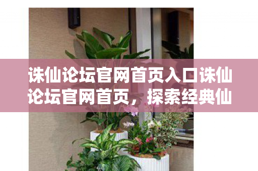 诛仙论坛官网首页入口诛仙论坛官网首页图片
