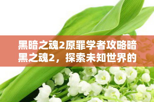 黑暗之魂2原罪学者攻略暗黑之魂2，探索未知世界的无尽冒险，黑暗之魂2原罪学者攻略，探索未知世界的无尽冒险