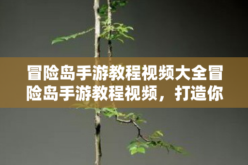 冒险岛手游教程视频大全冒险岛手游教程视频图片