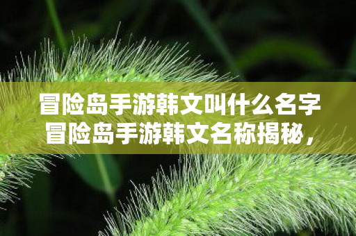 冒险岛手游韩文叫什么名字冒险岛手游韩文名称揭秘图片