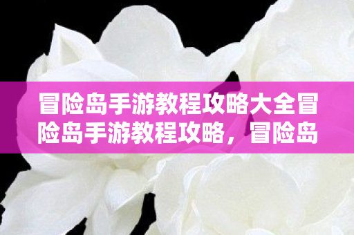 冒险岛手游教程攻略大全冒险岛手游教程攻略图片