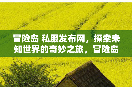 冒险岛 私服发布网，探索未知世界的奇妙之旅，冒险岛私服发布网，开启探索未知世界的奇妙之旅