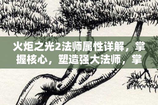 火炬之光2法师属性详解，掌握核心，塑造强大法师，掌握核心属性，塑造火炬之光2强大法师