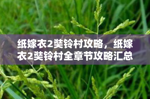 纸嫁衣2奘铃村攻略,纸嫁衣2奘铃村全章节攻略汇总 纸嫁衣2奘铃村攻略,纸嫁衣2奘铃村全章节攻略汇总