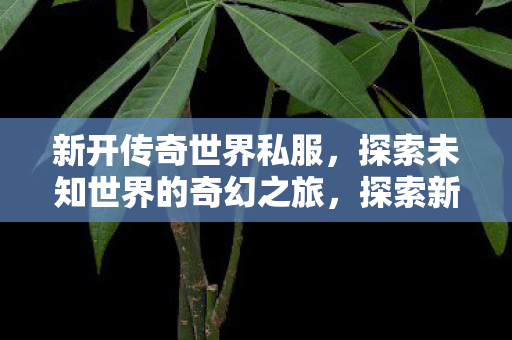 探索未知世界的奇幻之旅图片