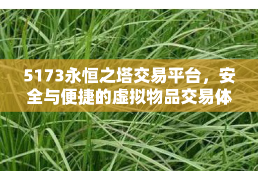 5173永恒之塔交易平台，安全与便捷的虚拟物品交易体验，5173永恒之塔交易平台，打造安全便捷的虚拟物品交易体验