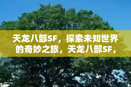 天龙八部SF，探索未知世界的奇妙之旅，天龙八部SF，探索未知世界的奇妙之旅
