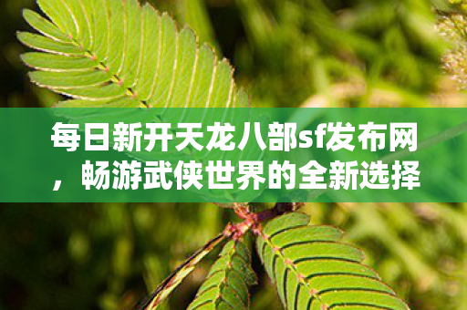 每日新开天龙八部sf发布网图片