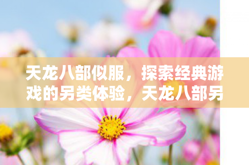 探索经典游戏的另类体验图片