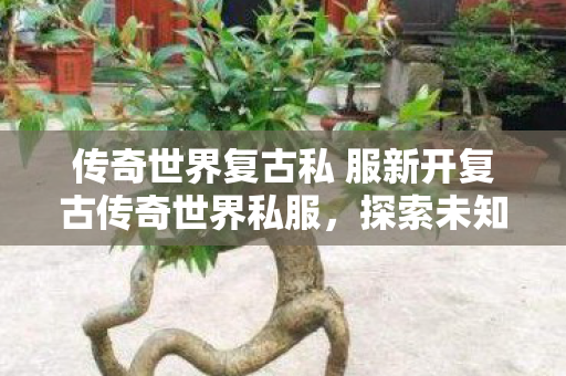 传奇世界复古私 服新开复古传奇世界私服，探索未知世界的奇妙之旅，复古传奇世界私服，探索未知世界的奇妙之旅