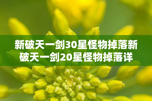 新破天一剑30星怪物掉落新破天一剑20星怪物掉落详解图片