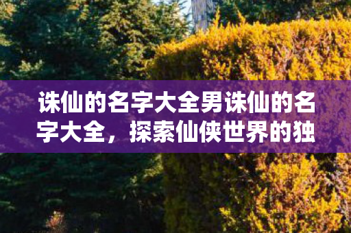 诛仙的名字大全男诛仙的名字大全，探索仙侠世界的独特命名艺术，探索诛仙中的独特命名艺术，男角色名字大全