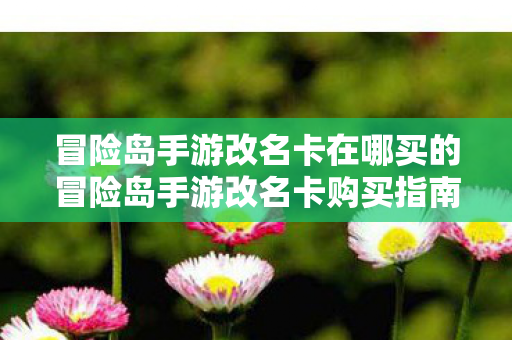 冒险岛手游改名卡在哪买的冒险岛手游改名卡购买指南，冒险岛手游改名卡购买指南