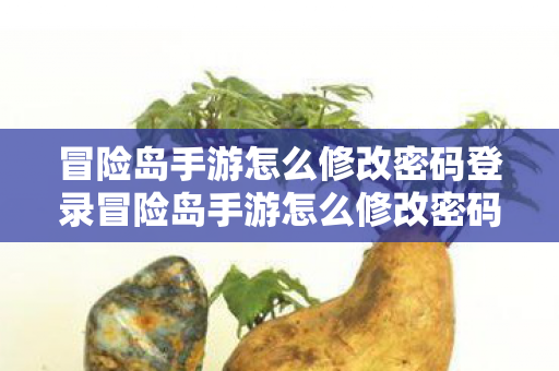 冒险岛手游怎么修改密码登录冒险岛手游怎么修改密码图片