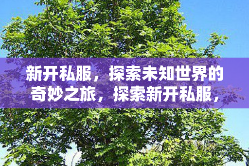 新开私服，探索未知世界的奇妙之旅，探索新开私服，开启未知世界的奇妙之旅