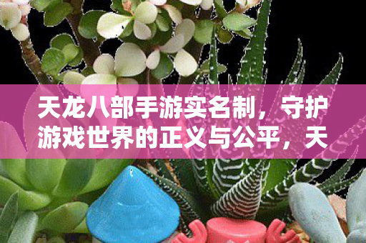 天龙八部手游实名制,守护游戏世界的正义与公平,天龙八部手游实名制上线,守护游戏世界的正义与公平 天龙八部手游实名制,守护游戏世界的正义与公平,天龙八部手游实名制上线,守护游戏世界的正义与公平