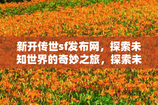 探索未知世界的奇妙之旅图片