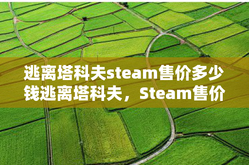 逃离塔科夫steam售价多少钱逃离塔科夫，Steam售价与游戏魅力深度解析，逃离塔科夫，Steam售价与游戏魅力深度解析