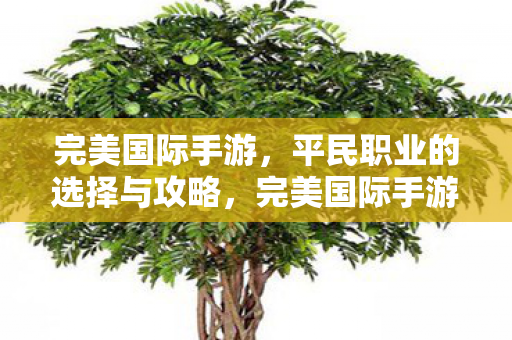 完美国际手游平民职业选择与攻略图片