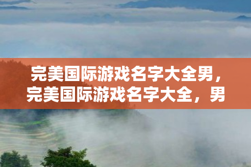 完美国际游戏名字大全男图片