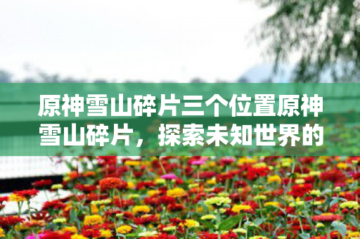 原神雪山碎片三个位置原神雪山碎片,探索未知世界的奇妙之旅,原神雪山碎片,探索未知世界的奇妙之旅 原神雪山碎片三个位置原神雪山碎片,探索未知世界的奇妙之旅,原神雪山碎片,探索未知世界的奇妙之旅