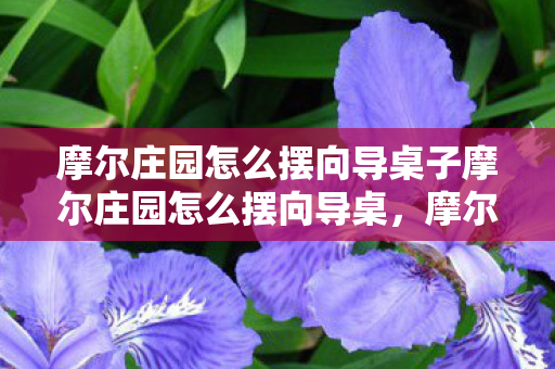 摩尔庄园怎么摆向导桌子摩尔庄园怎么摆向导桌,摩尔庄园,如何摆放向导桌? 摩尔庄园怎么摆向导桌子摩尔庄园怎么摆向导桌,摩尔庄园,如何摆放向导桌?