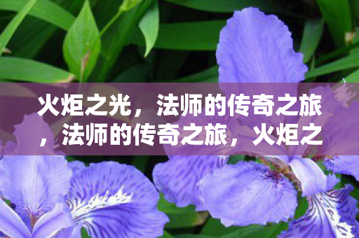 火炬之光，法师的传奇之旅，法师的传奇之旅，火炬之光