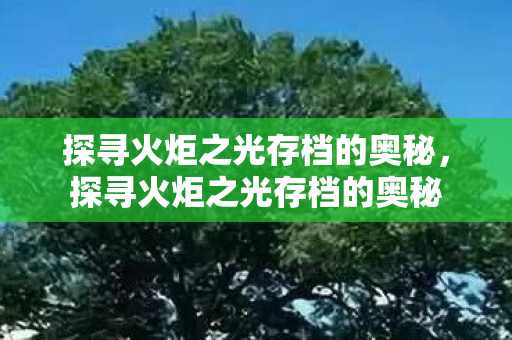 探寻火炬之光存档的奥秘，探寻火炬之光存档的奥秘