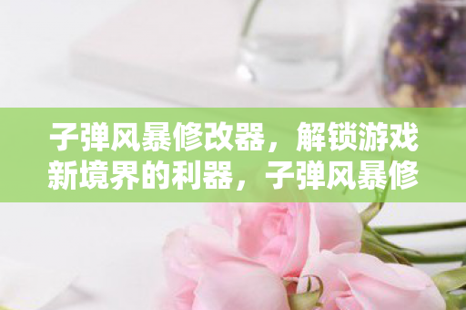子弹风暴修改器，解锁游戏新境界的利器，子弹风暴修改器，解锁游戏新境界的利器