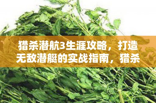 猎杀潜航3生涯攻略，打造无敌潜艇的实战指南，猎杀潜航3潜艇打造与实战攻略，打造无敌潜艇的实战指南