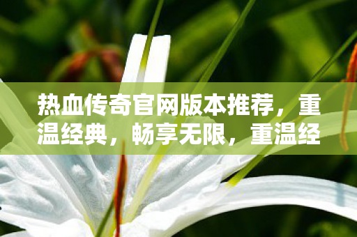 热血传奇官网版本推荐，重温经典，畅享无限，重温经典，畅享无限，热血传奇官网版本推荐