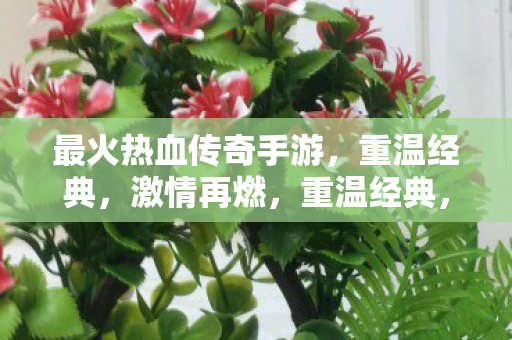 最火热血传奇手游，重温经典，激情再燃，重温经典，激情再燃，最火热血传奇手游来袭