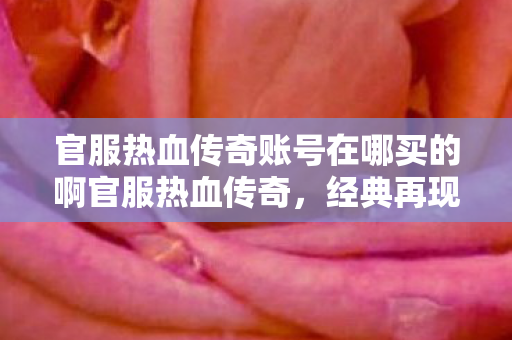 官服热血传奇账号在哪买的啊官服热血传奇，经典再现，传奇永恒，官服热血传奇账号购买指南，经典再现，传奇永恒