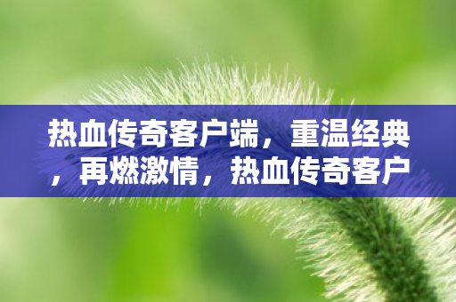 热血传奇客户端，重温经典，再燃激情，热血传奇客户端，重温经典，再燃激情