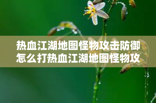 热血江湖地图怪物攻击防御怎么打热血江湖地图怪物攻击防御详解图片