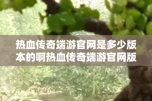 热血传奇端游官网是多少版本的啊热血传奇端游官网版本探索图片