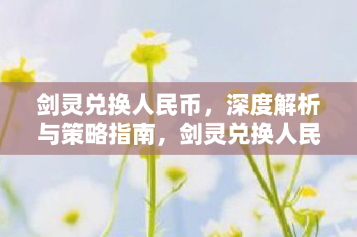 剑灵兑换人民币，深度解析与策略指南，剑灵兑换人民币，深度解析与策略指南